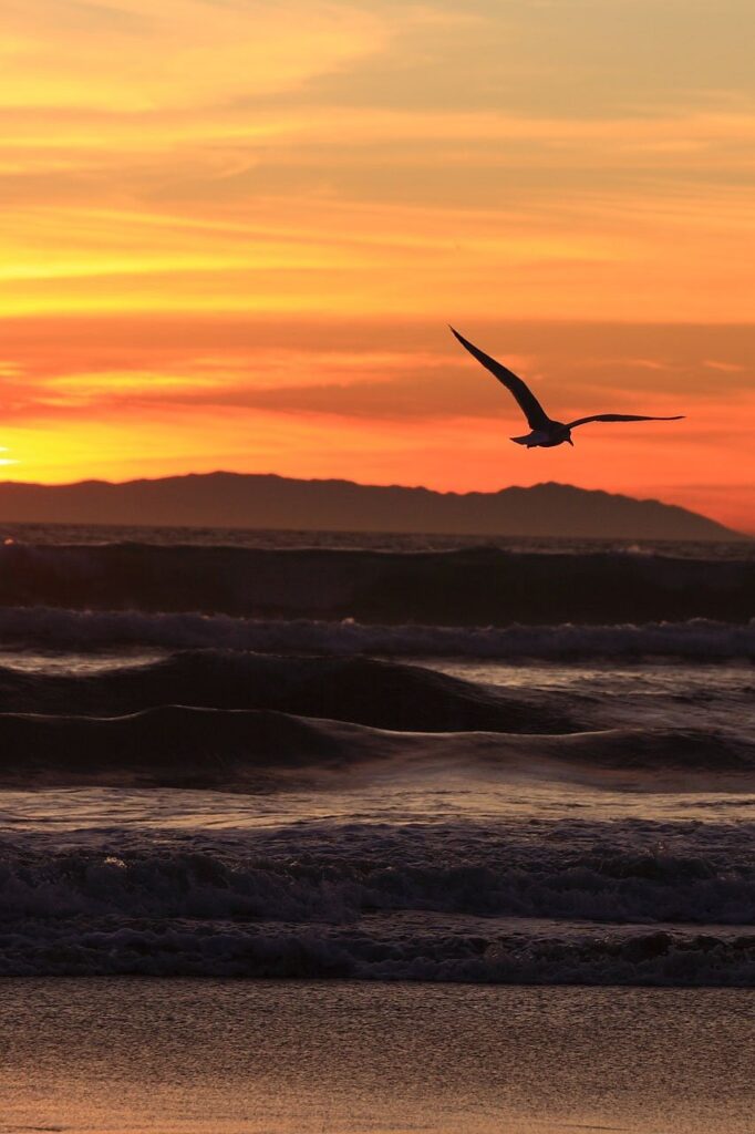 sunset, california, pacific-2400.jpg